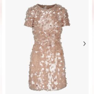 NWT Carolina Herrera Sequin Blush Dress Size 6